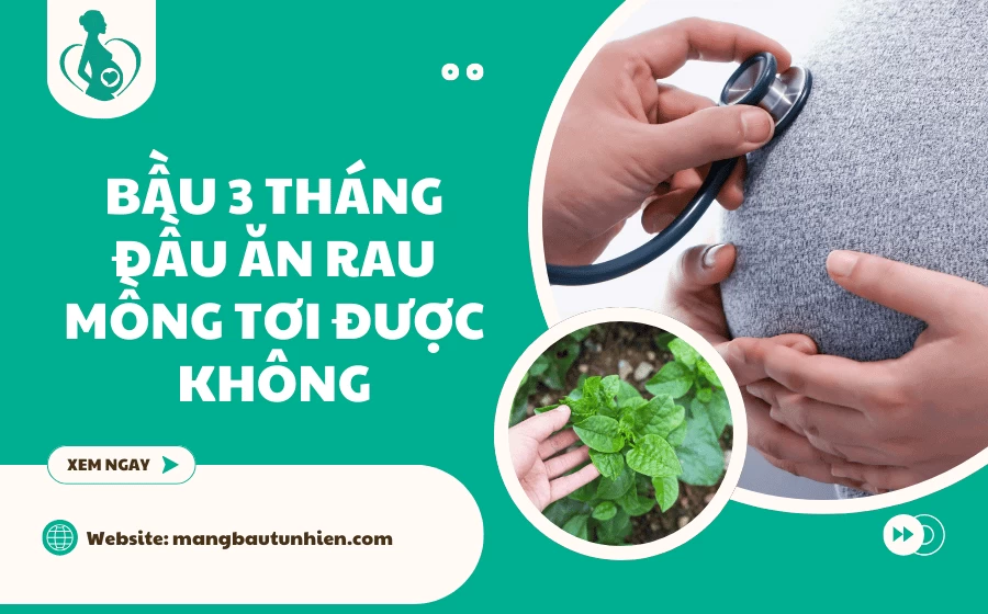 Bầu 3 tháng đầu ăn rau mồng tơi được không