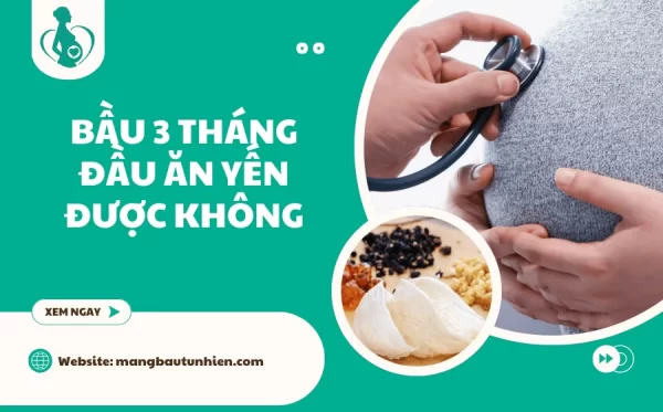 Bầu 3 tháng đầu ăn yến được không