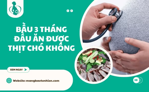 Bầu 3 tháng đầu ăn được thịt chó không