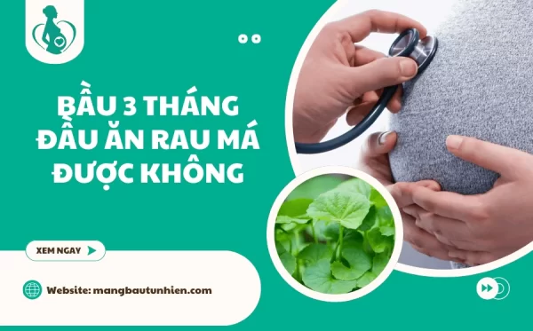 Bầu 3 tháng đầu ăn rau má được không