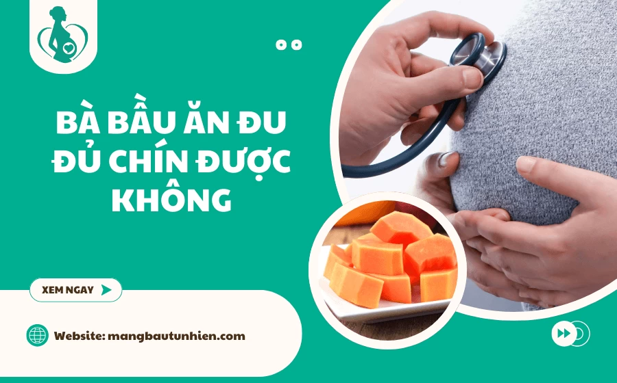 Bà bầu ăn đu đủ chín được không? 8+ Lợi ích và 4 Lưu ý quan trọng
