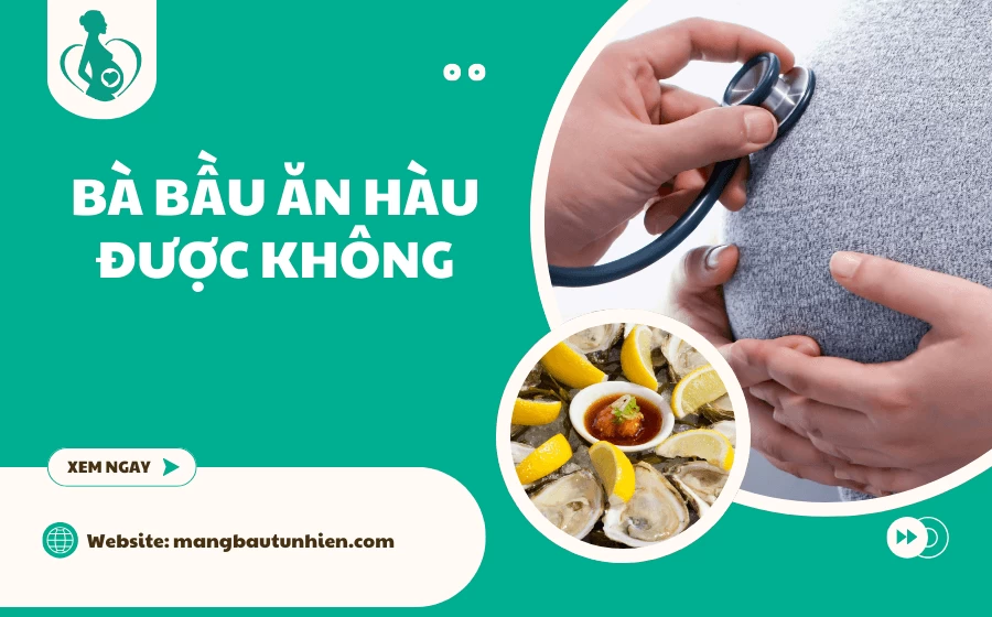 Bà bầu ăn hàu được không? Giải đáp từ A-Z chi tiết