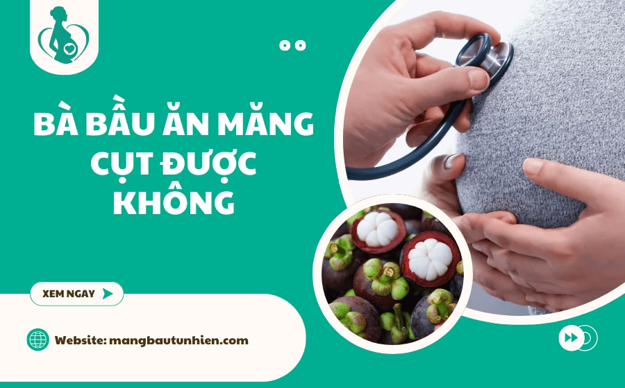 ba-bau-an-mang-cut-duoc-khong Bà bầu ăn măng cụt được không? Lợi ích và rủi ro cần biết