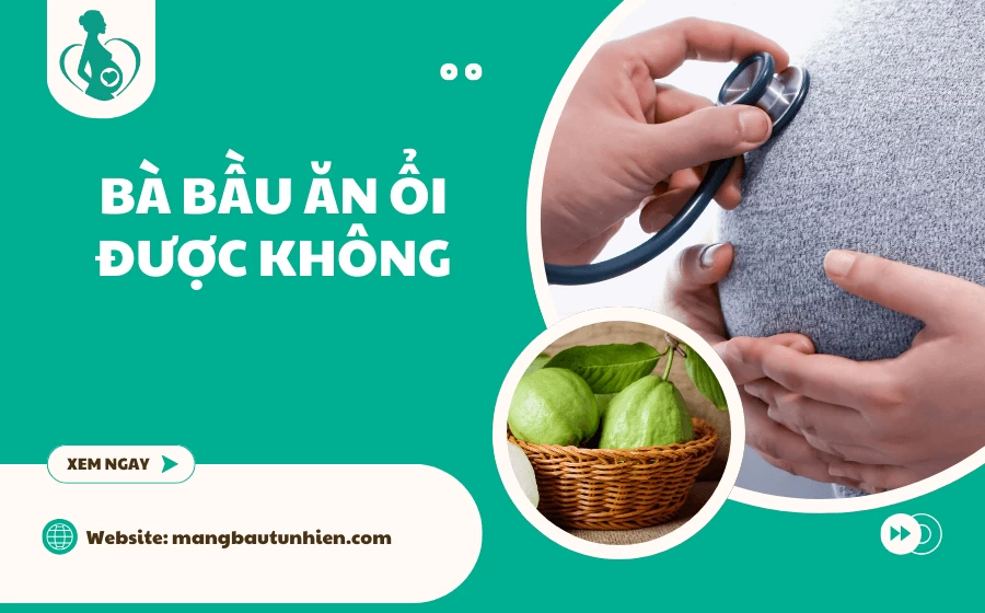 Bà bầu ăn ổi được không? 10+ Lợi ích tuyệt vời của ổi
