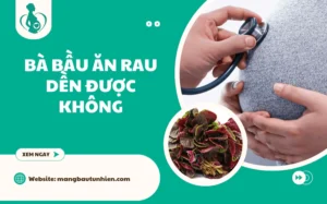 Bầu 3 tháng đầu ăn rau dền được không? [Giải đáp từ A-Z]