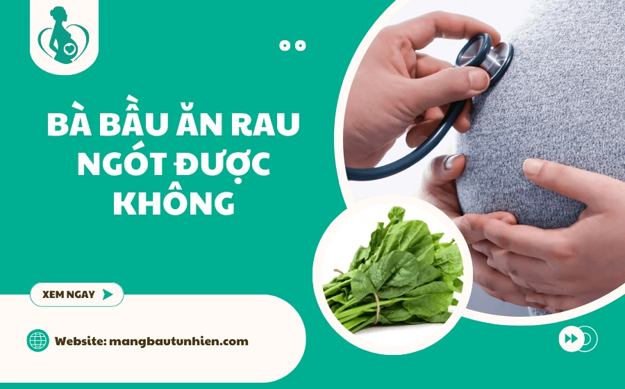 Bà bầu ăn rau ngót được không? Lưu ý quan trọng cho mẹ bầu