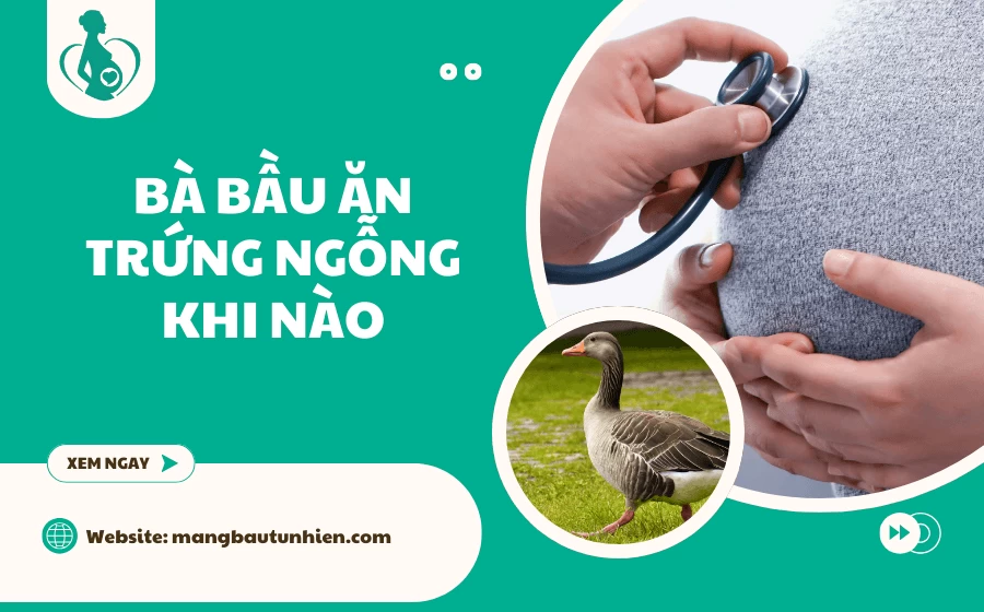 Bầu 3 tháng đầu ăn trứng ngỗng được không? [Giải đáp A-Z]