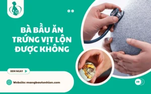 Bà bầu ăn trứng vịt lộn được không? Lợi ích, rủi ro và lưu ý