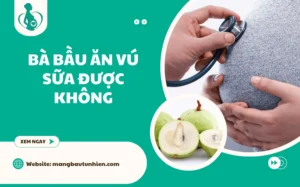 Bà bầu ăn vú sữa được không? Giải đáp cho mẹ bầu và người thân