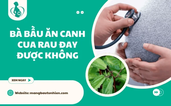 Bà bầu ăn canh cua rau đay được không