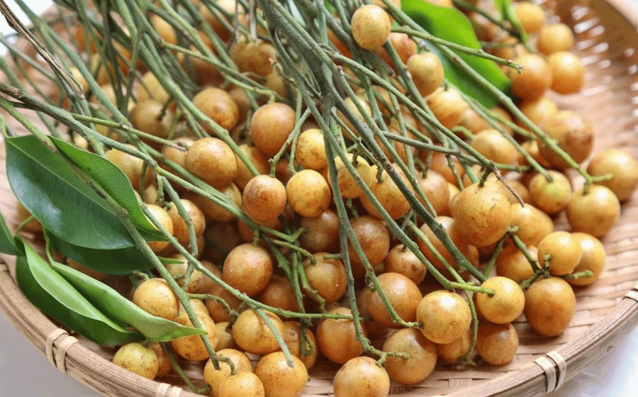 Bà bầu ăn được quả nhâm không