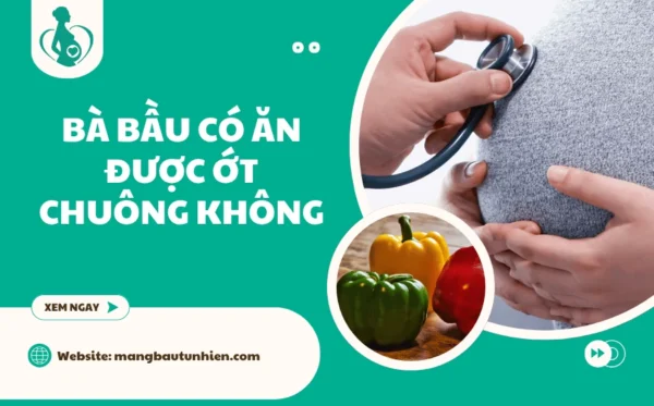 Bà bầu có ăn được ớt chuông không? [Giải đáp từ A-Z]