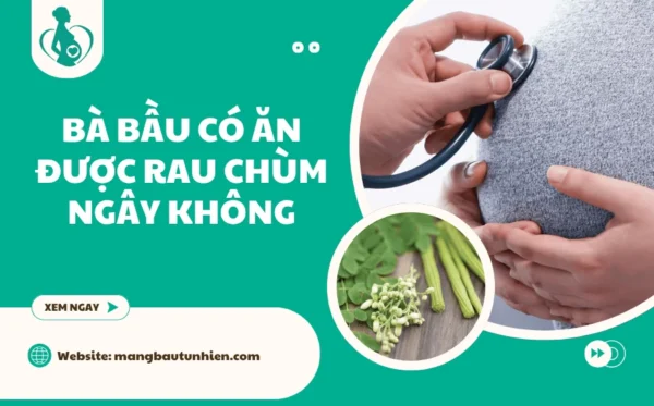 Bà bầu có ăn được rau chùm ngây không? [Giải đáp chuyên gia]