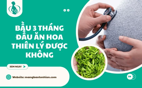 Bầu 3 tháng đầu ăn hoa thiên lý được không