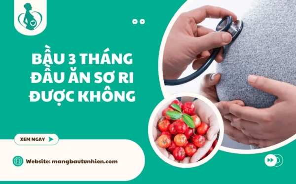 Bầu 3 tháng đầu ăn sơ ri được không