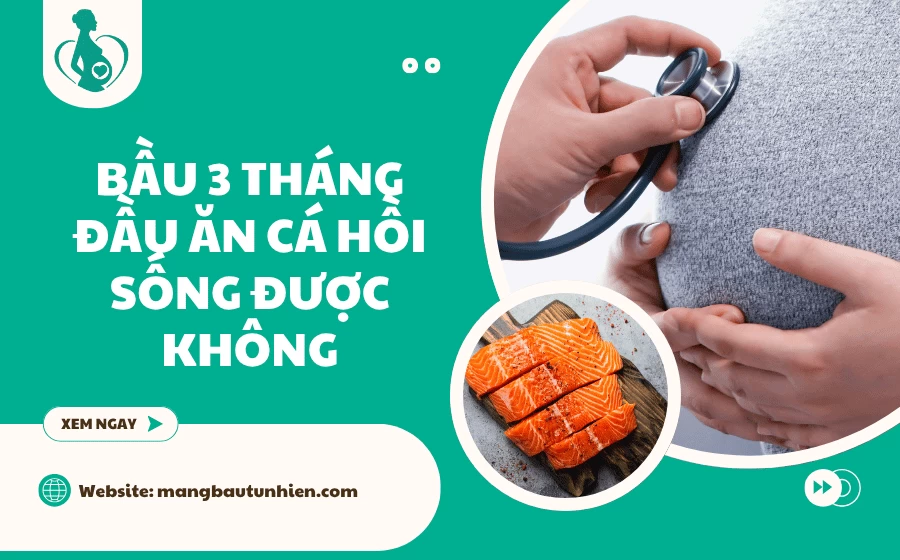 Bầu 3 tháng đầu ăn cá hồi sống được không