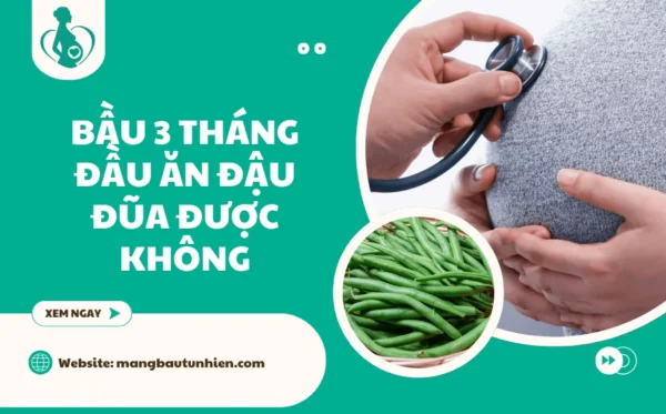 Bầu 3 tháng đầu ăn đậu đũa được không