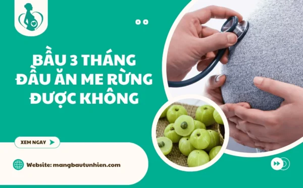 Bầu 3 tháng đầu ăn me rừng được không