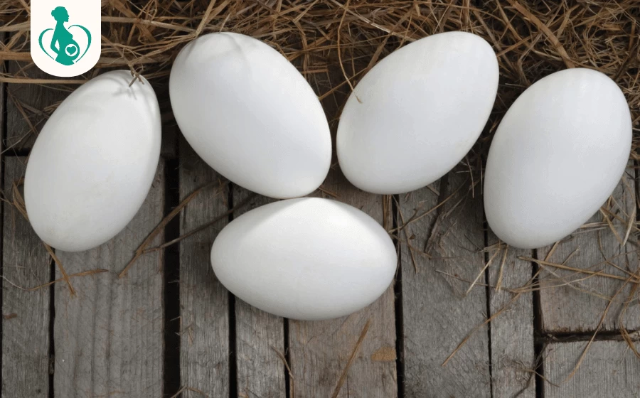 Bầu 3 tháng đầu ăn trứng ngỗng được không