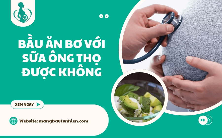 Bầu ăn bơ với sữa Ông Thọ được không