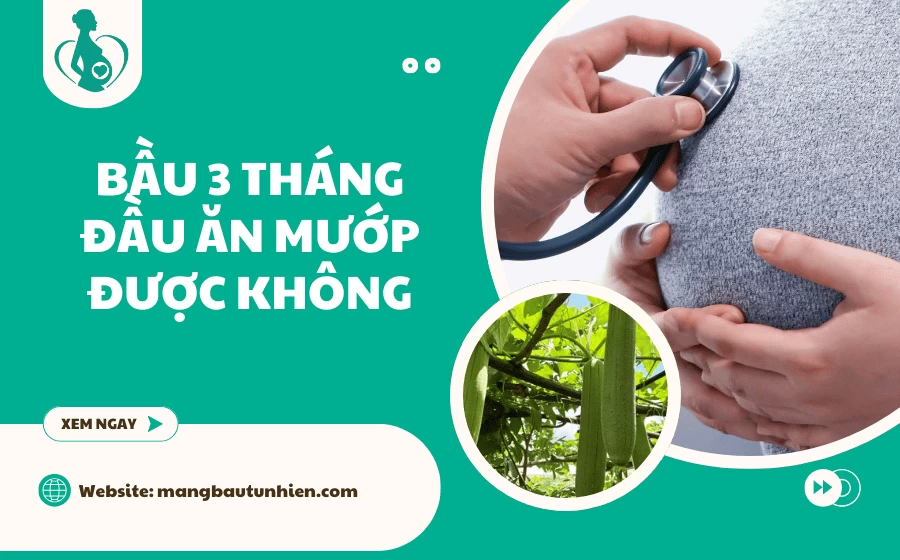 Bầu 3 tháng đầu ăn mướp được không