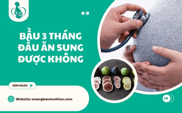 Bầu 3 tháng đầu ăn sung được không