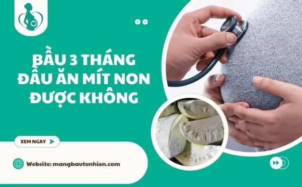 Bầu 3 tháng đầu ăn mít non được không