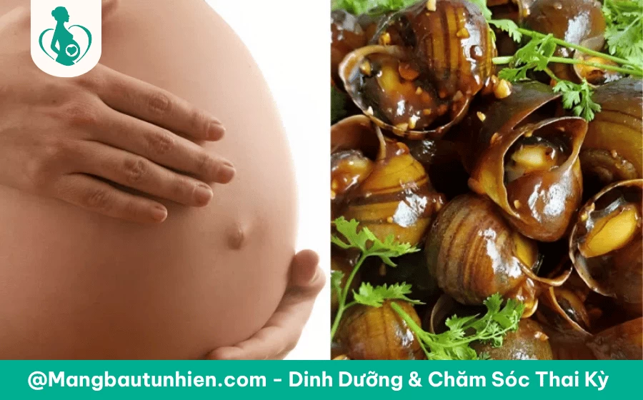 Bà bầu 3 tháng đầu ăn ốc được không
