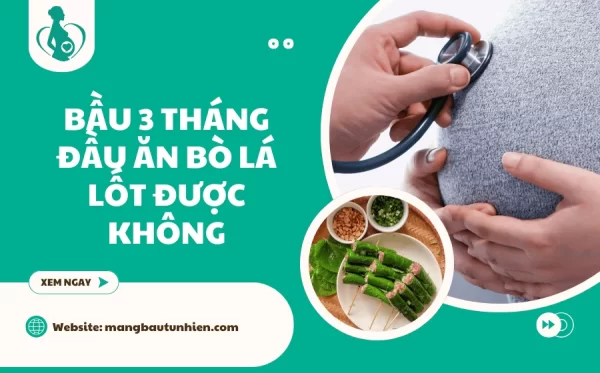Bầu 3 tháng đầu ăn bò lá lốt được không