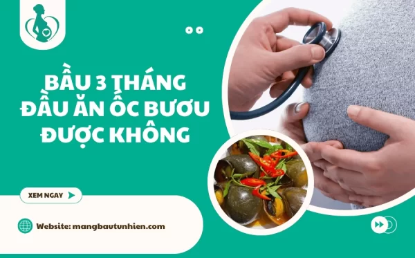 Bầu 3 tháng đầu ăn ốc bươu được không