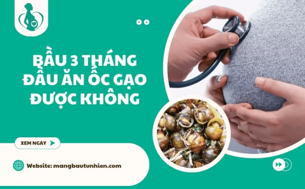 Bầu 3 tháng đầu ăn ốc gạo được không