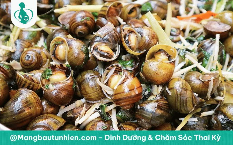Bầu 3 tháng đầu ăn ốc gạo được không